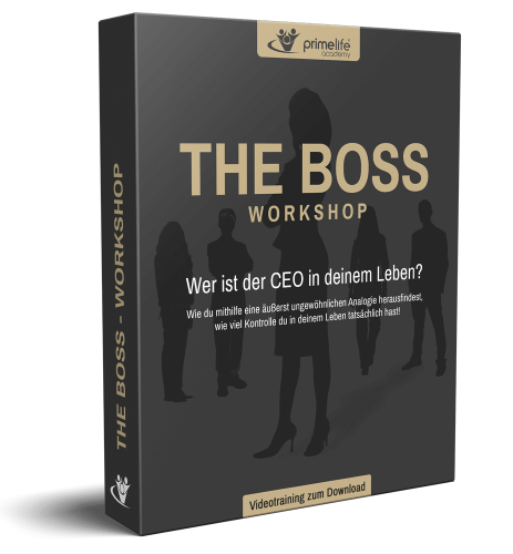 Cover_The-Boss-Workshop